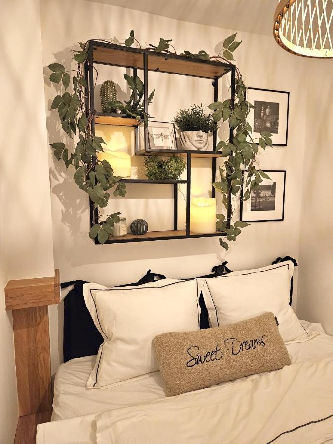 Design Apt In Old Town-Free Parking-Balcony براتسيلافا المظهر الخارجي الصورة